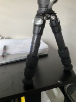 IMG_3917.jpeg