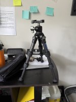 IMG_2398.jpeg