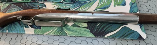 IMG_1267.jpeg