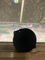IMG_6307.jpeg