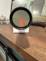 IMG_9812.jpeg