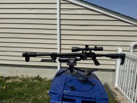 IMG_2081.jpeg
