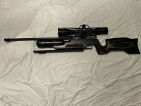 IMG_2549.jpeg