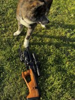 IMG_2867.jpeg
