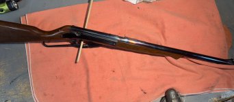 IMG_7462.jpeg