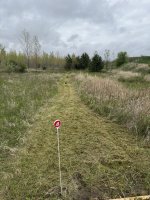 IMG_7529.jpeg