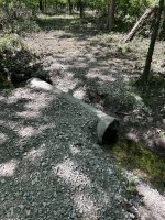 IMG_2739.jpeg