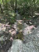 IMG_2741.jpeg