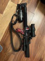 IMG_2036.jpeg