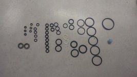IMG_20250508_103229169.jpg