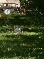 IMG_1777.jpeg