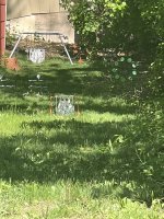 IMG_1776.jpeg