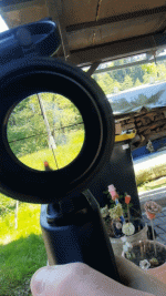20250429_135620_1.gif