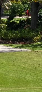 20250515_114808.jpg