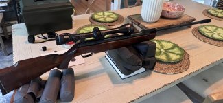 IMG_3473.jpeg