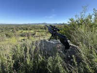 IMG_5636.jpeg