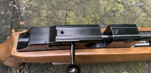 IMG_9924.jpeg