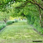 IMG_8920.jpeg