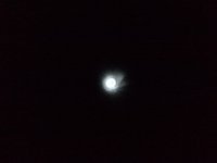 IMG_20250517_231119_572.jpg