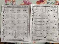 IMG_3297.jpeg
