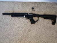 IMG_7333.jpeg