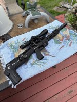 IMG_2384.jpeg