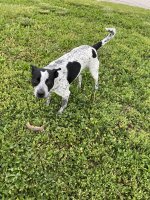 IMG_6320.jpeg