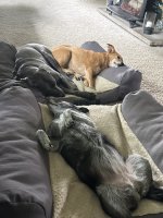 IMG_3410.jpeg