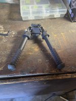 IMG_1525.jpeg