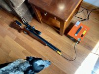 IMG_6353.jpeg