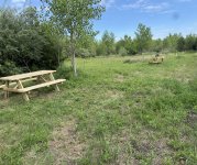 IMG_7618.jpeg