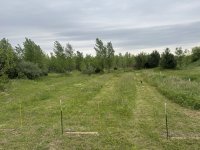IMG_7627.jpeg