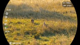 IMG_2306.jpeg