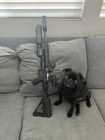 IMG_1349.jpeg