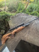 IMG_7754.jpeg