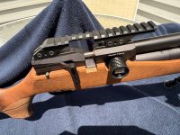 IMG_3395.jpeg