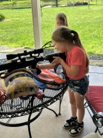 IMG_3731.jpeg IMG_3731.jpeg