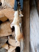 Female_05292025.jpg