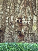 IMG_5013.jpeg
