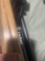 IMG_8059.jpeg