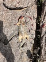 IMG_6519.jpeg