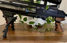 IMG_9627.jpeg