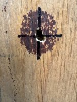 IMG_9280.jpeg
