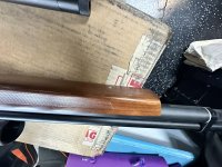 IMG_3608.jpeg IMG_3608.jpeg