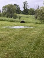 IMG_7542.jpeg