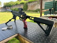 IMG_1569.jpeg
