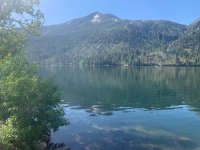 IMG_3110[1].JPG