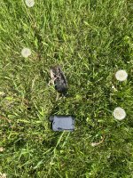 IMG_1195.jpeg