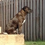 IMG_1221.jpeg