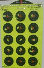 Target-3-Crosman-Premier-14.3.jpg